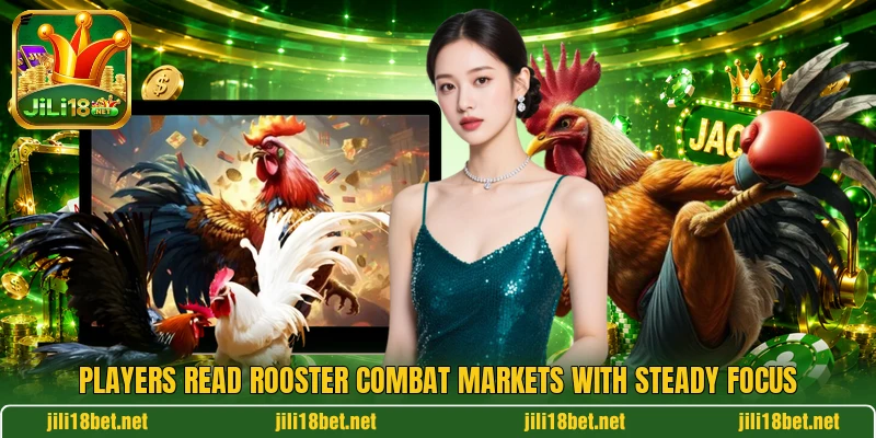 Players read rooster combat markets with steady focus Players read rooster combat markets with steady focus