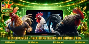 Rooster Combat - Track Arena Clashes And Outcomes Now