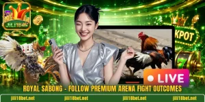 Royal Sabong - Follow Premium Arena Fight Outcomes